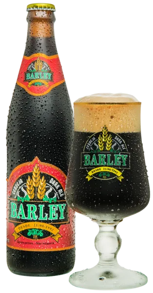 Cerveja Dark Barley
