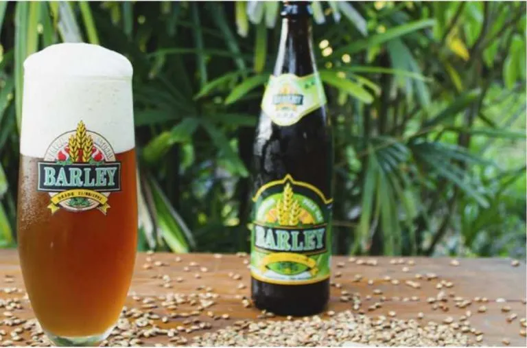 Chopp Artesanal A.P.A da Barley